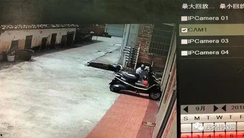 老油条爆料的视频,视频内容深度解析 第2张 老油条爆料的视频,视频内容深度解析 第2张